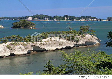 天然の桟橋と呼ばれる利府の馬の背(松島湾) 天然の桟橋と呼ばれる利府の馬の背(松島湾) 22937197