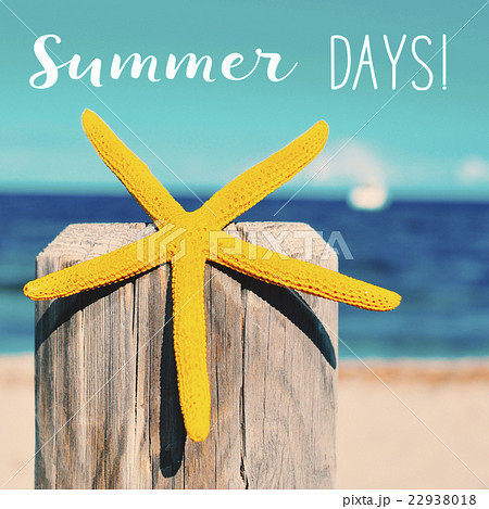 starfish on the beach and text summer days 22938018