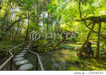 初夏の天授庵 池泉回遊式庭園 初夏の天授庵 池泉回遊式庭園 22938545
