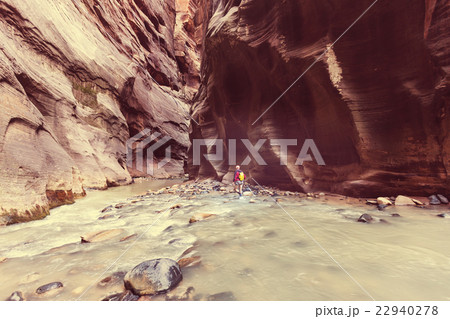 Canyon in Zion Canyon in Zion 22940278