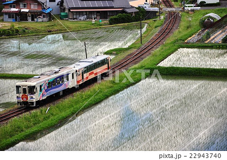 初夏の田園と電車 22943740