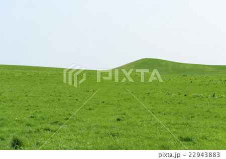 草のある丘のバックグラウンド 22943883