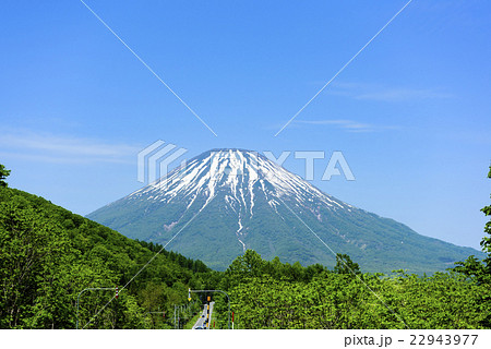 羊蹄山と一本道 22943977