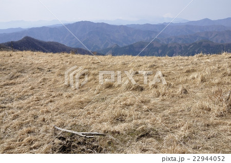 鷹ノ巣山のカヤト原より富士山 鷹ノ巣山のカヤト原より富士山 22944052