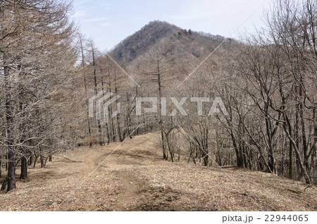 鷹ノ巣山と石尾根縦走路 鷹ノ巣山と石尾根縦走路 22944065