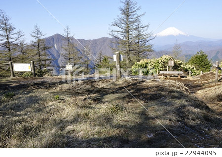 春の姫次展望台 22944095