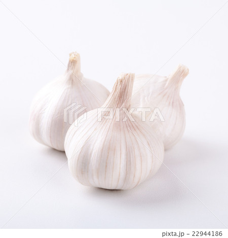 garlic on white background 22944186