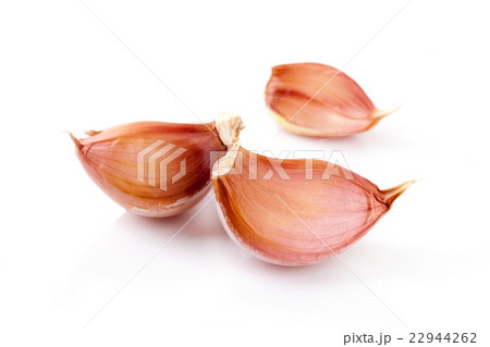 Fresh garlic isolated on white background 22944262