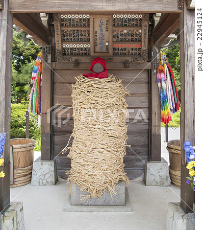 南蔵院のしばられ地蔵(東京都葛飾区) 南蔵院のしばられ地蔵(東京都葛飾区) 22945124