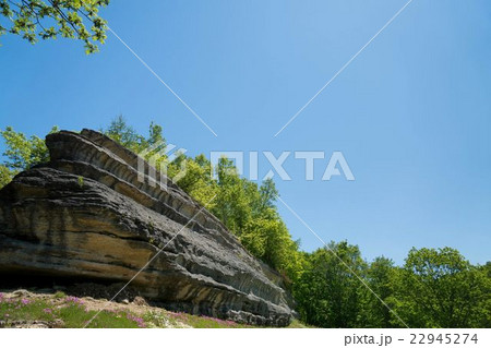 鍾乳洞自然ふれあい公園　（中頓別町）　 22945274