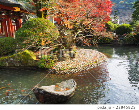 Japanese pond in garden at the Yutoku shrine Japanese pond in garden at the Yutoku shrine 22945925