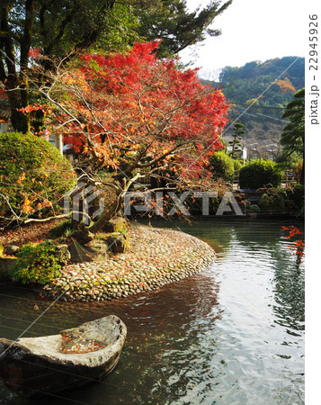 Japanese pond in garden at the Yutoku shrine 22945926