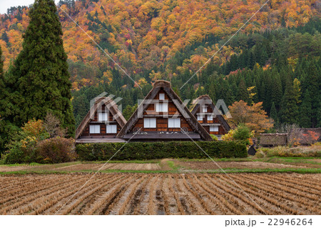 世界遺産 白川郷 秋 22946264