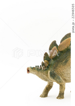 ステゴサウルス:Stegosaurus ステゴサウルス:Stegosaurus 22946505