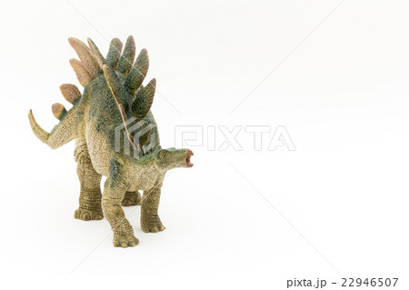 ステゴサウルス:Stegosaurus ステゴサウルス:Stegosaurus 22946507