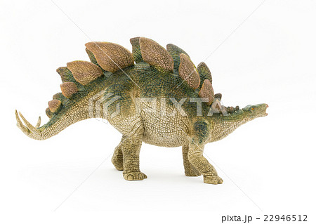 ステゴサウルス:Stegosaurus ステゴサウルス:Stegosaurus 22946512