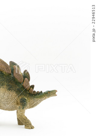 ステゴサウルス:Stegosaurus ステゴサウルス:Stegosaurus 22946513