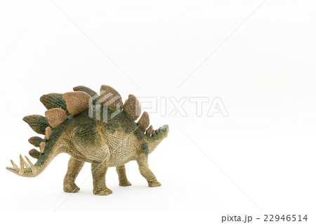 ステゴサウルス:Stegosaurus 22946514