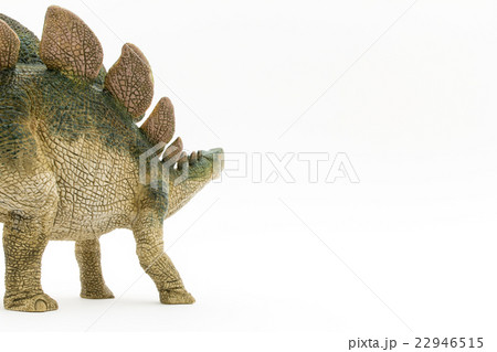 ステゴサウルス:Stegosaurus 22946515