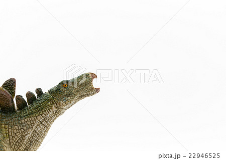 ステゴサウルス:Stegosaurus 22946525