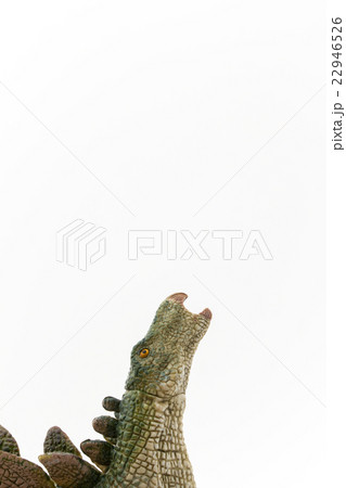 ステゴサウルス:Stegosaurus 22946526