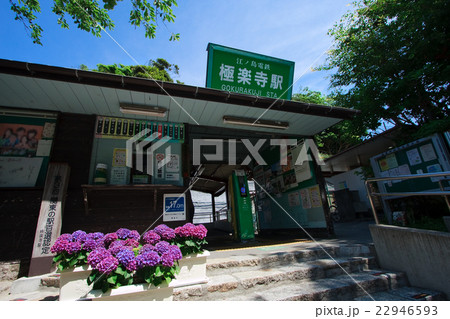 極楽寺駅と紫陽花 梅雨 初夏 の写真素材