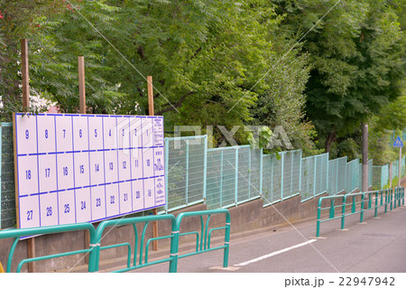 選挙ポスター掲示板 22947942