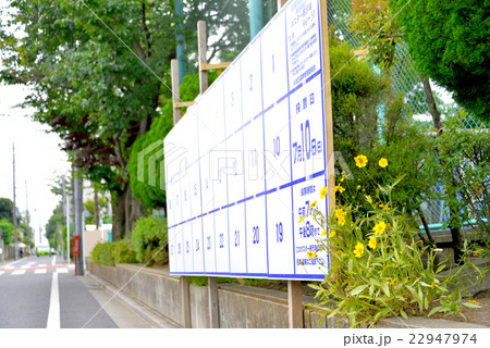 選挙ポスター掲示板 22947974
