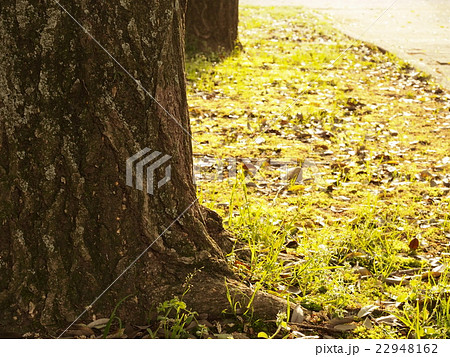 宇都宮東公園 22948162