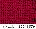close up foot scraper red color 22948679