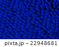 close up foot scraper blue color 22948681