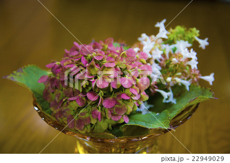 6月あじさい（紫陽花）のアレンジメント 22949029