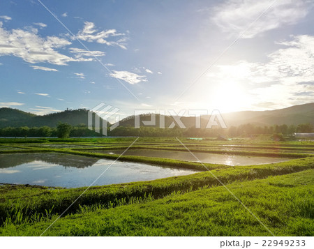 Sunset on spring field natural beauty Sunset on spring field natural beauty 22949233