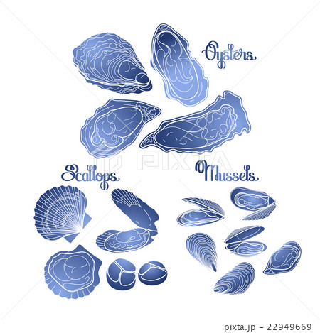 Graphic vector mussels, oysters and scallops 22949669