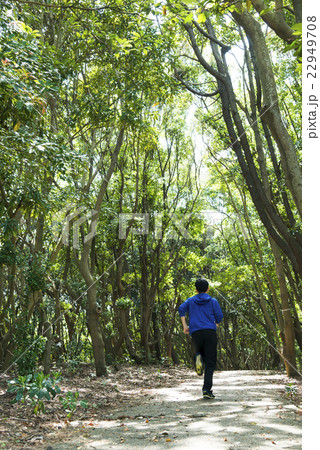 森林の中をランニングする若者 森林の中をランニングする若者 22949708