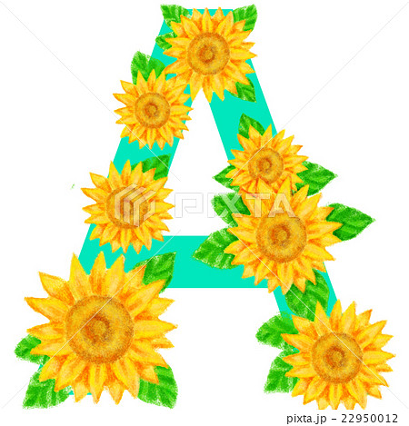 ひまわりの文字_A ひまわりの文字_A 22950012