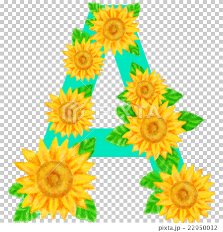 ひまわりの文字_A ひまわりの文字_A 22950012