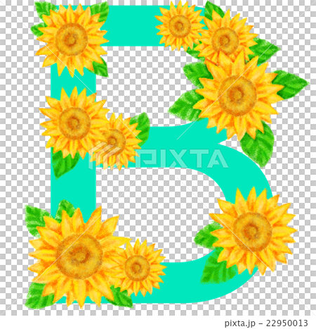 ひまわりの文字＿B 22950013
