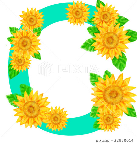 ひまわりの文字＿C 22950014