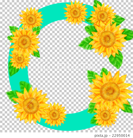 ひまわりの文字＿C 22950014
