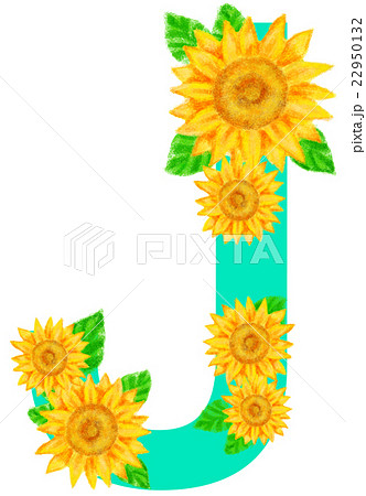 ヒマワリ_アルファベット_J 22950132