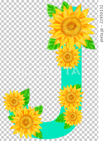 ヒマワリ_アルファベット_J 22950132