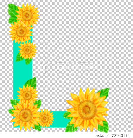 ヒマワリ_アルファベット_L 22950134