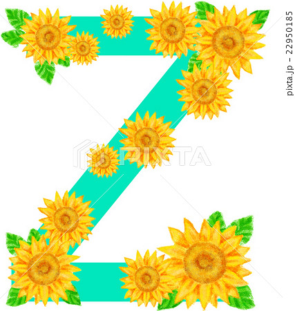 ヒマワリ_アルファベット_Z 22950185