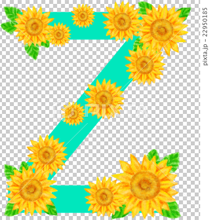 ヒマワリ_アルファベット_Z 22950185