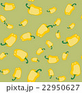 Yellow pepper seamless texture 565 22950627