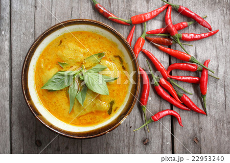 Thai green curry Thai green curry 22953240