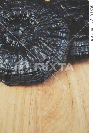 Ganoderma lucidum - Ling zhi mushroom. 22953850