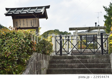 花園東陵 花園東陵 22954474