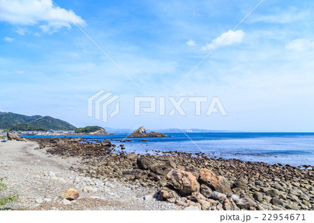 和歌山　ウミネコ島 22954671